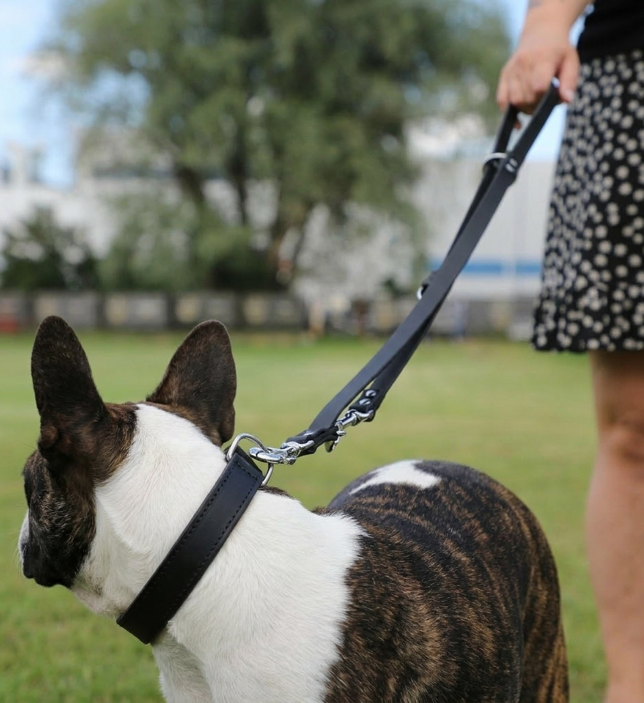 Klassische verstellbare Lederleine – Stil & Funktionalität