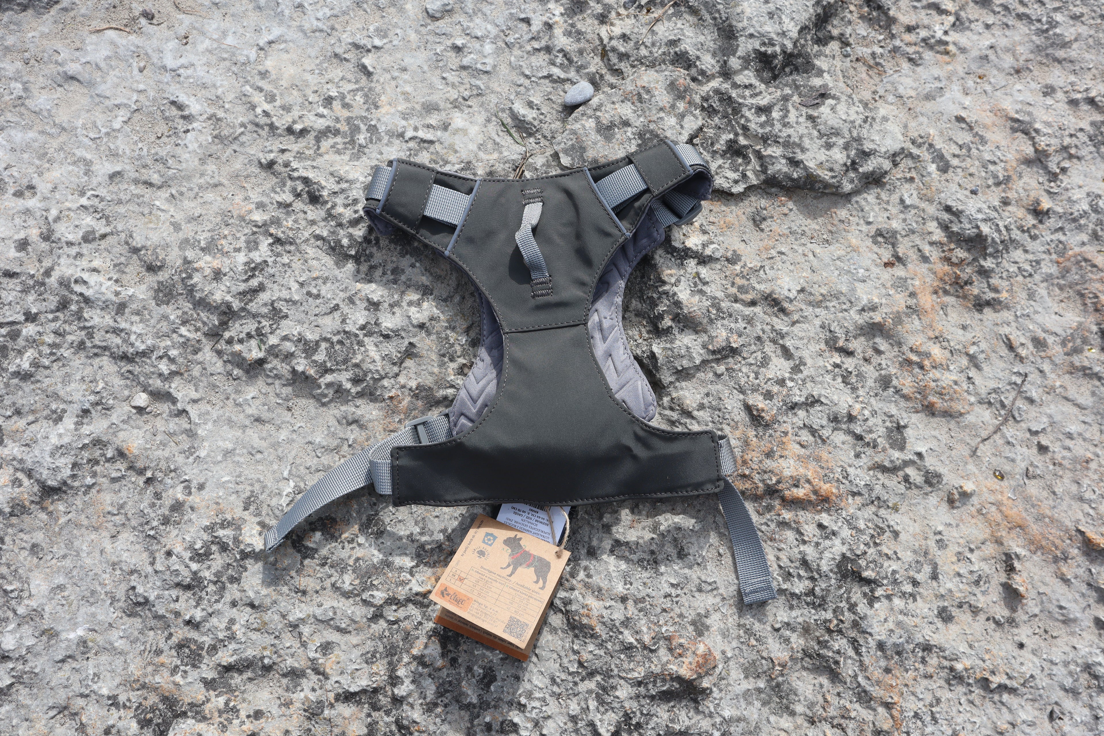 Dingo "Waldemar Rutkowski" Signature Series: Premium Tactical H-Gurt mit Aufbewahrungstasche