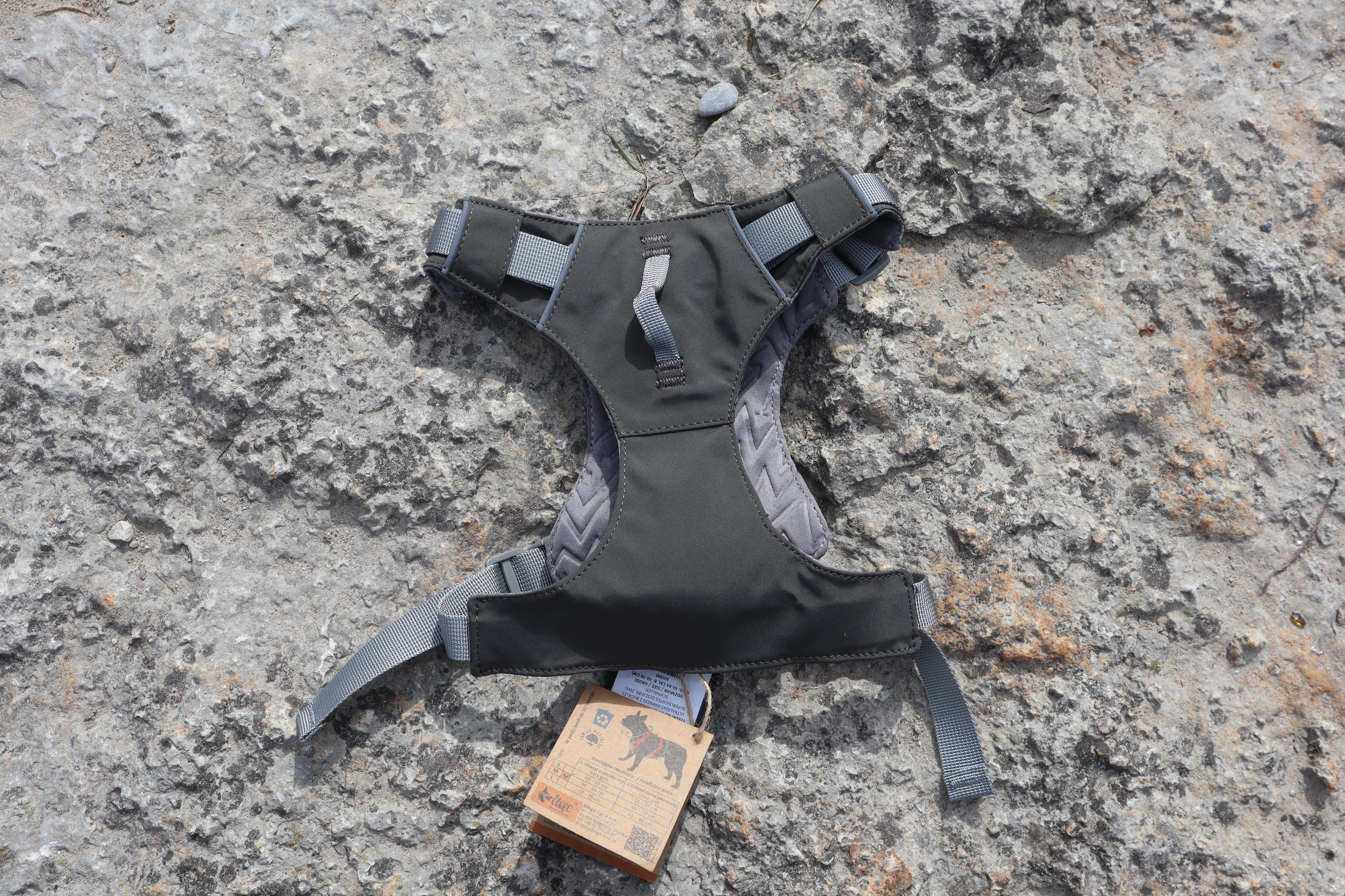 Dingo "Waldemar Rutkowski" Signature Series: Premium Tactical H-Gurt mit Aufbewahrungstasche