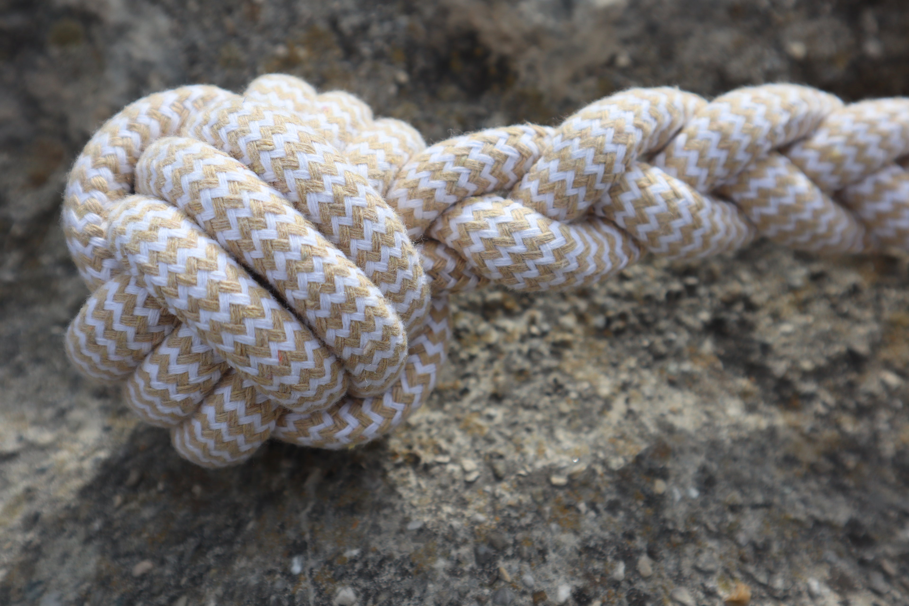 Dingo „Bolo“ Robuste Seil-Hundespielzeug mit zwei Knoten-Bällen – Zeitloser Stil und Komfort