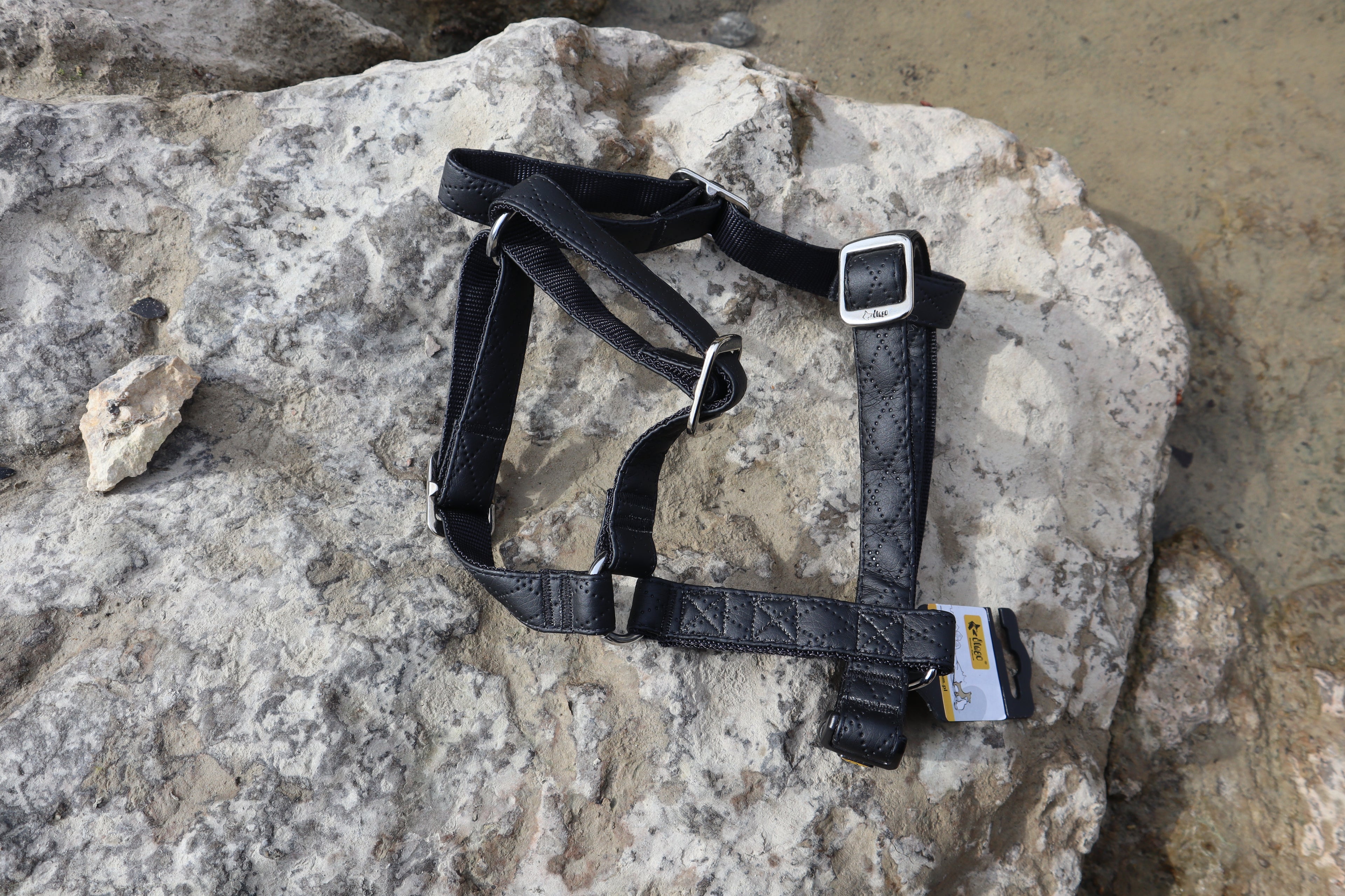 „Terra“ Premium H-Geschirr von Dingo – Wo Eleganz auf Ergonomie trifft