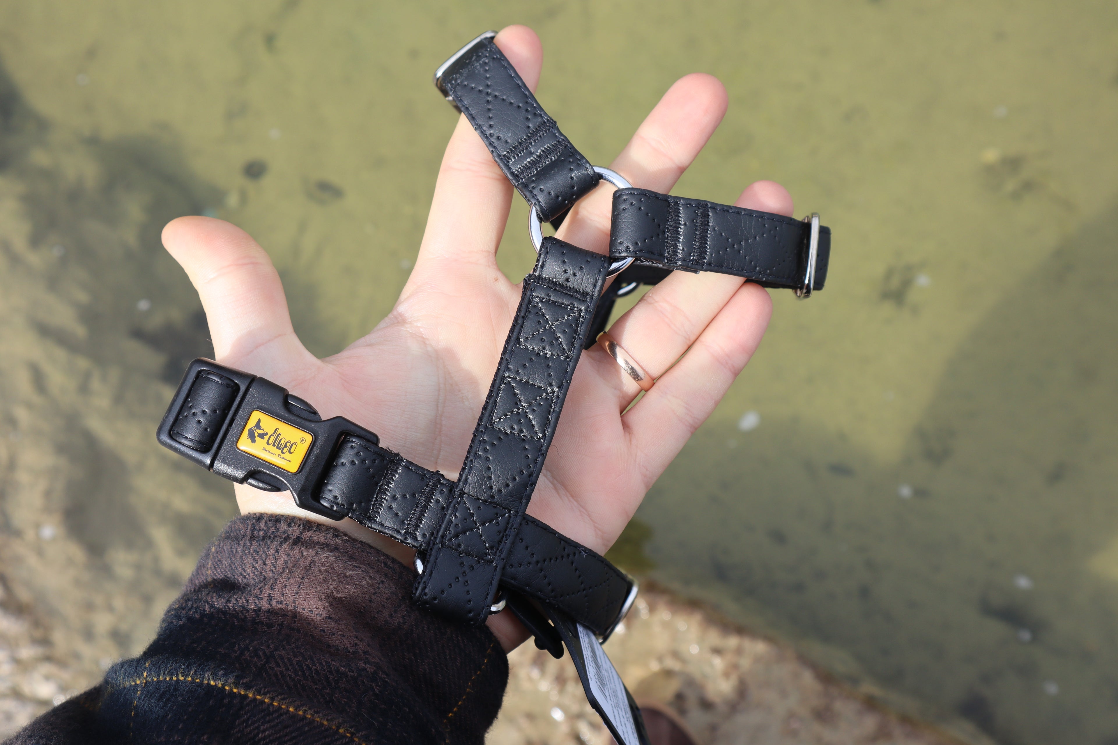 „Terra“ Premium H-Geschirr von Dingo – Wo Eleganz auf Ergonomie trifft