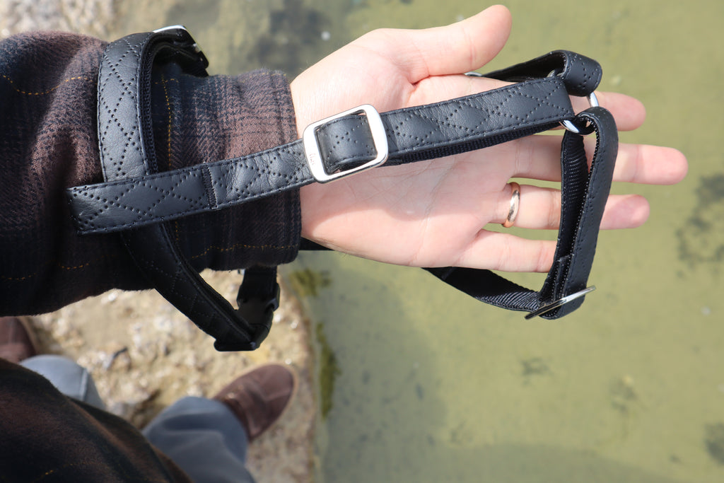 „Terra“ Premium H-Geschirr von Dingo – Wo Eleganz auf Ergonomie trifft