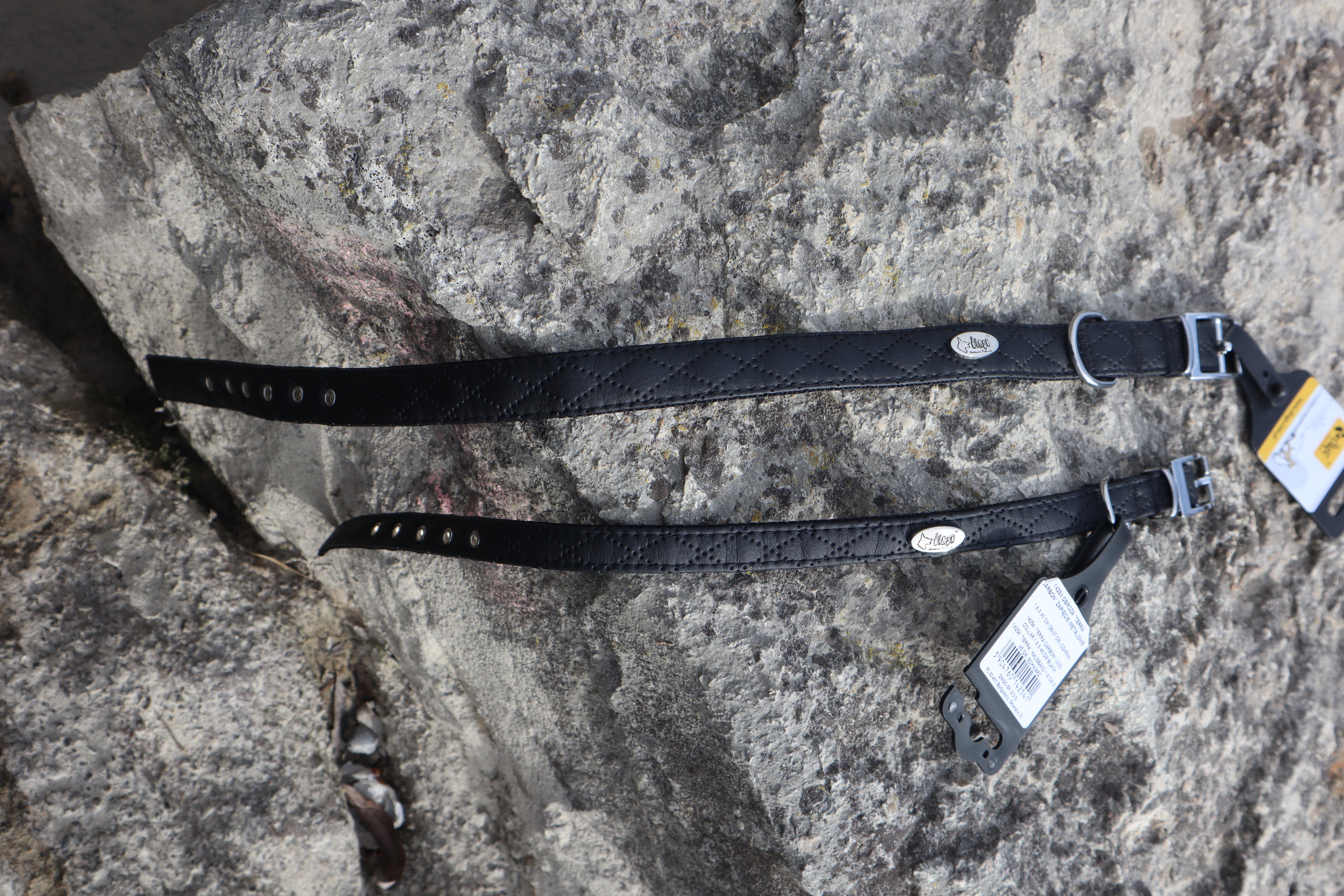 Terra: Hundehalsband aus veganem Leder & Polyamid – robust & elegant