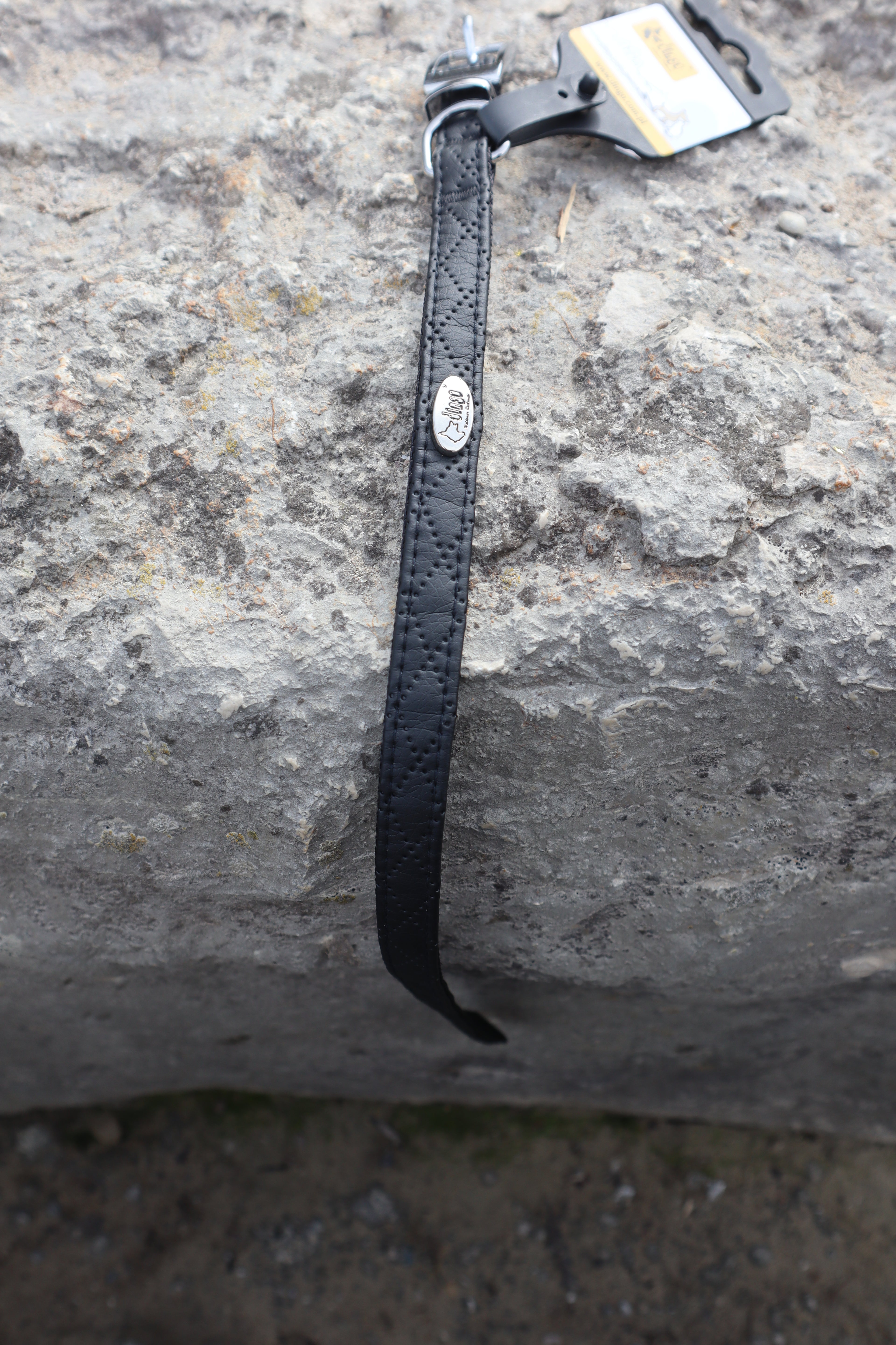 Terra: Hundehalsband aus veganem Leder & Polyamid – robust & elegant