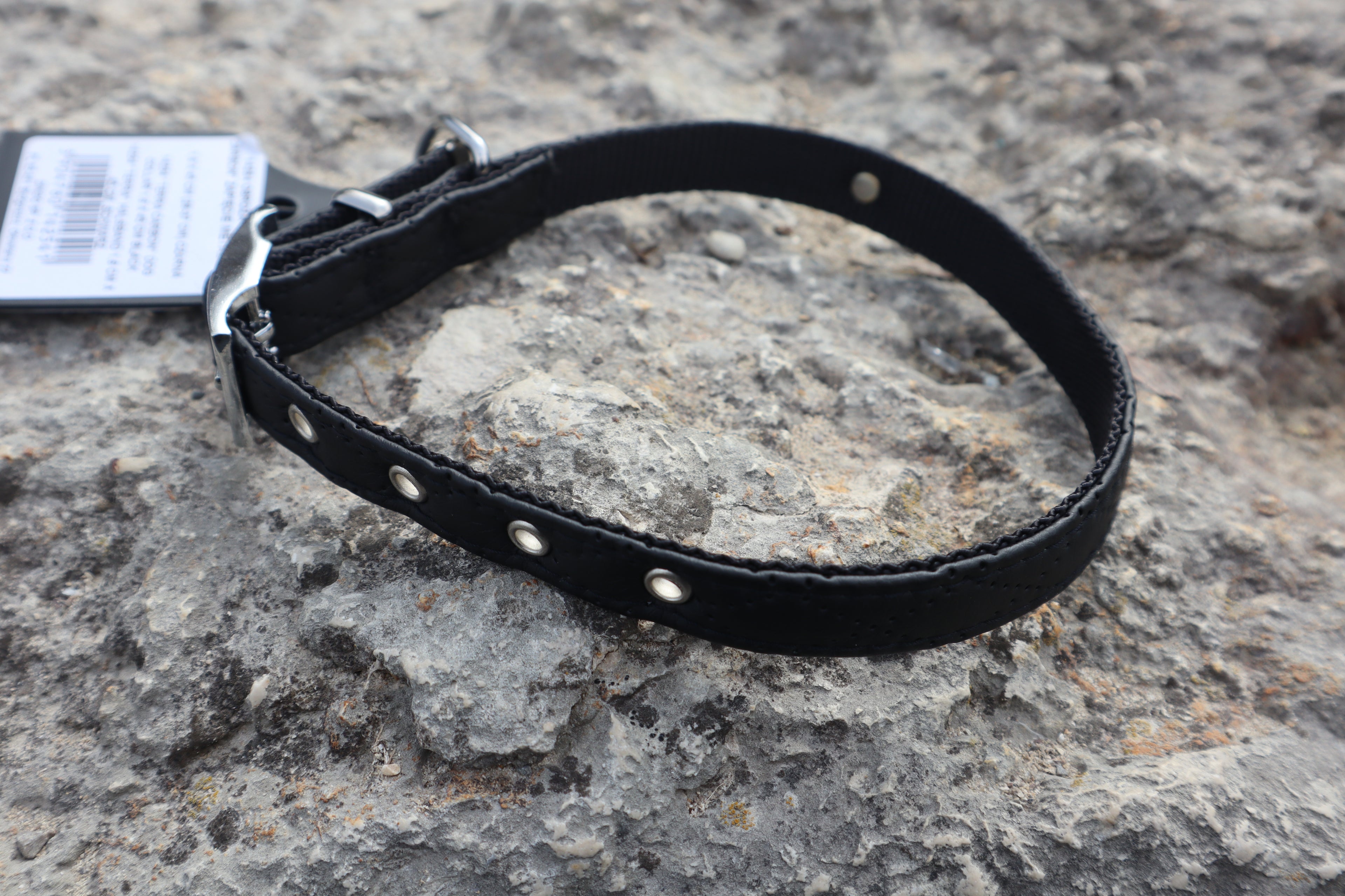 Terra: Hundehalsband aus veganem Leder & Polyamid – robust & elegant