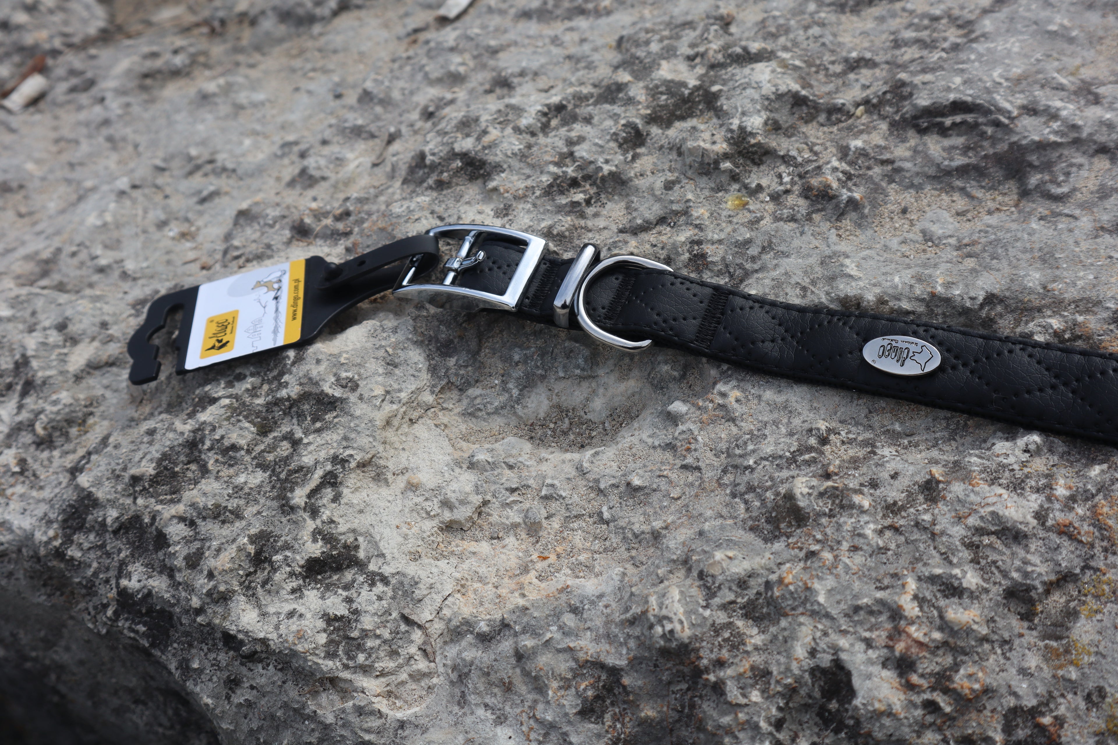 Terra: Hundehalsband aus veganem Leder & Polyamid – robust & elegant