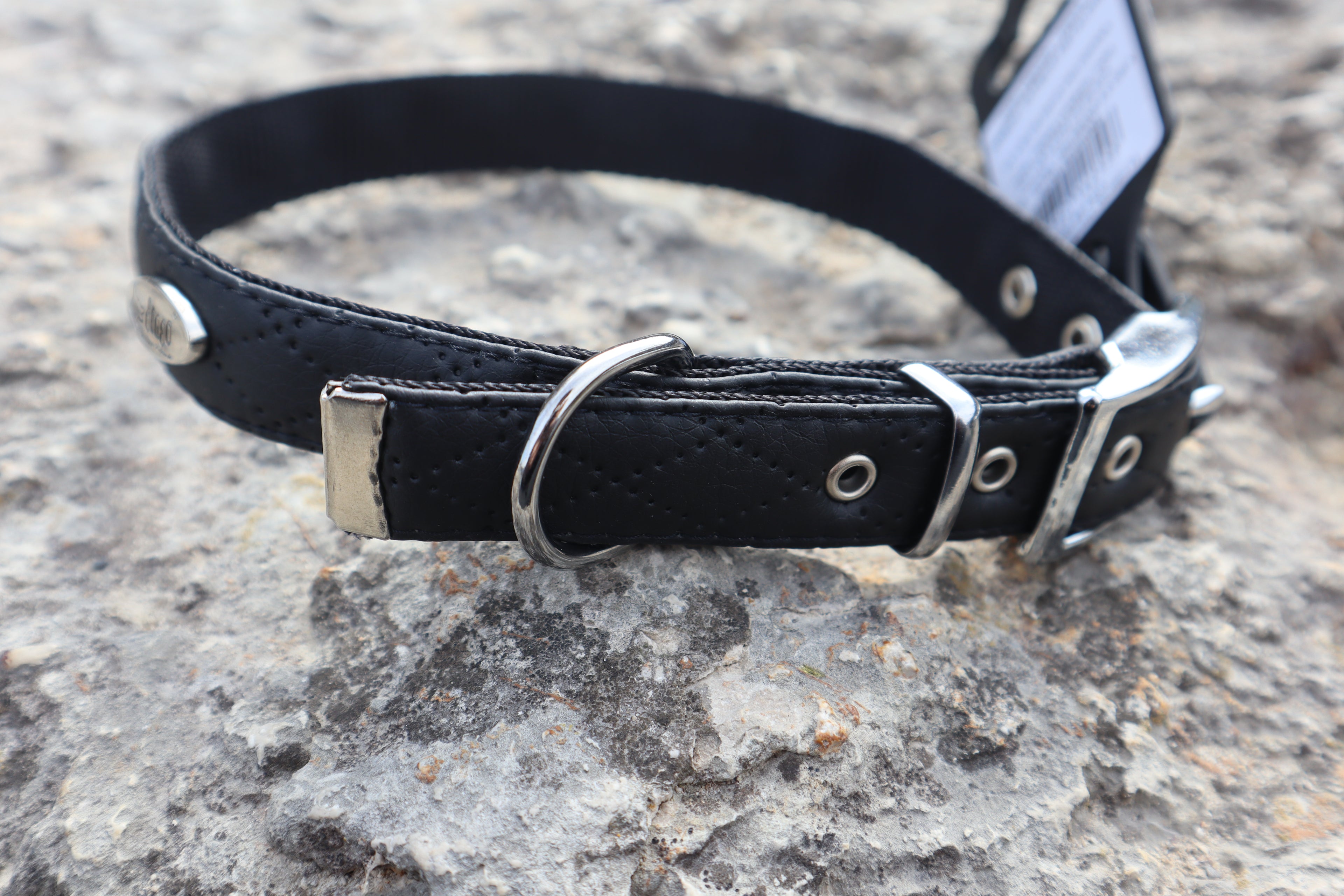 Terra: Hundehalsband aus veganem Leder & Polyamid – robust & elegant