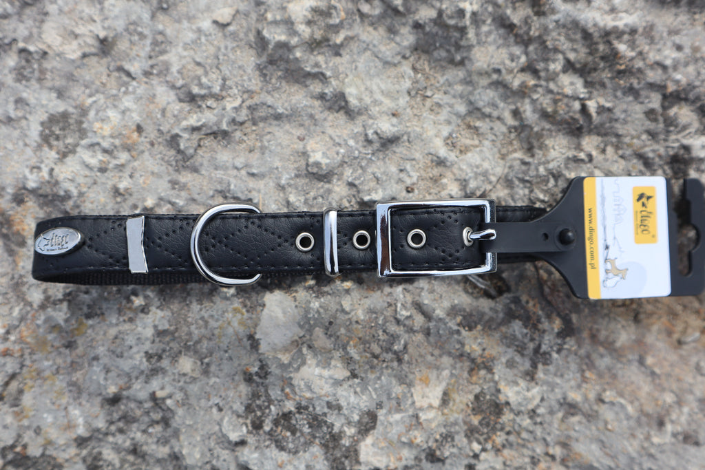 Terra: Hundehalsband aus veganem Leder & Polyamid – robust & elegant