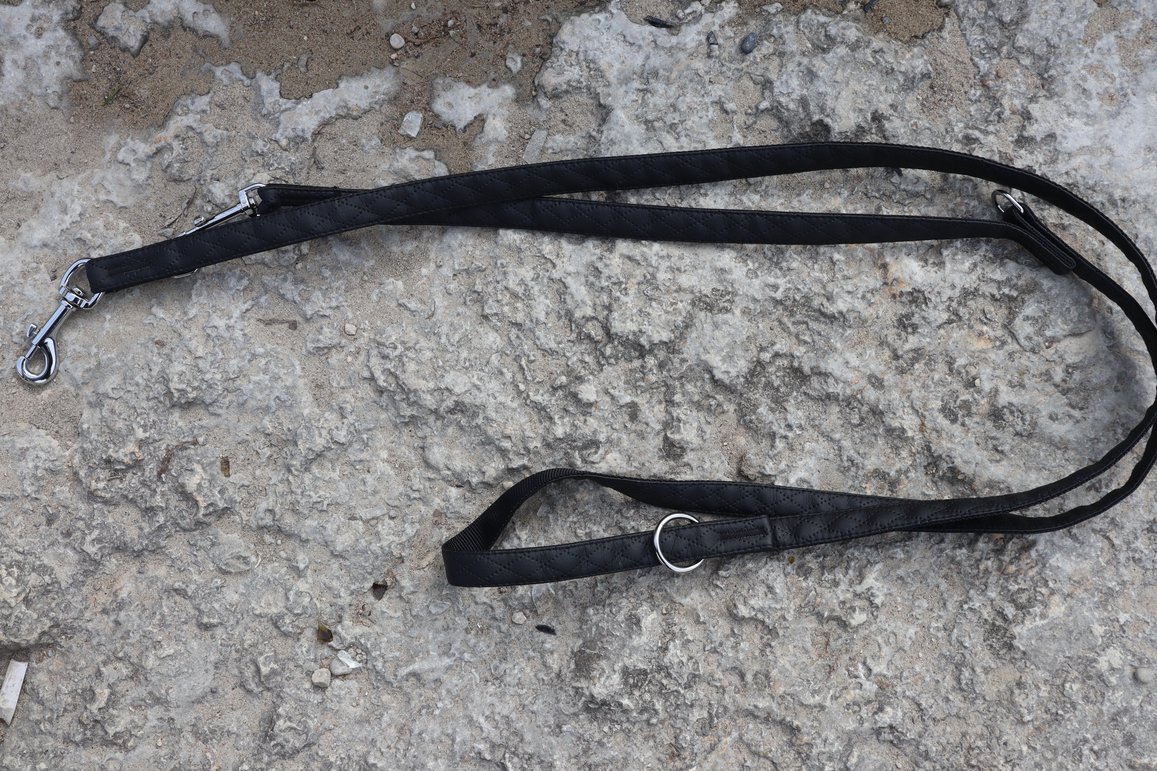 Dingo „Terra“ Multifunktions-Hundeleine – Stil & Funktionalität in Perfektion