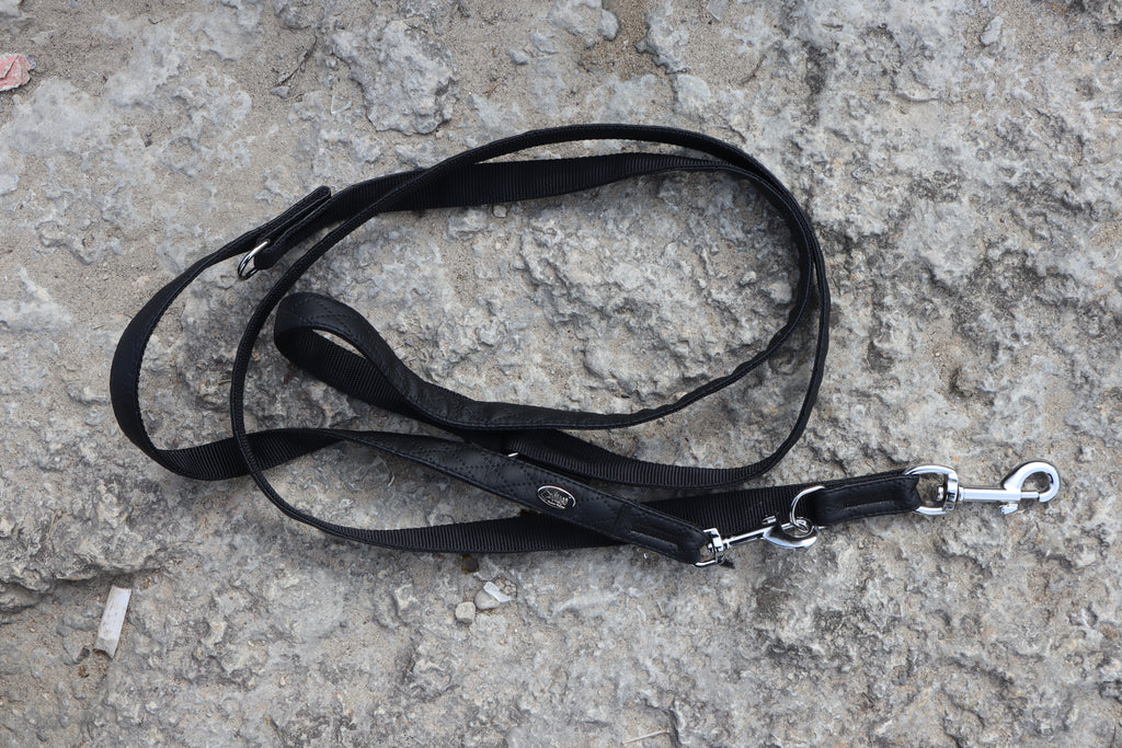 Dingo „Terra“ Multifunktions-Hundeleine – Stil & Funktionalität in Perfektion