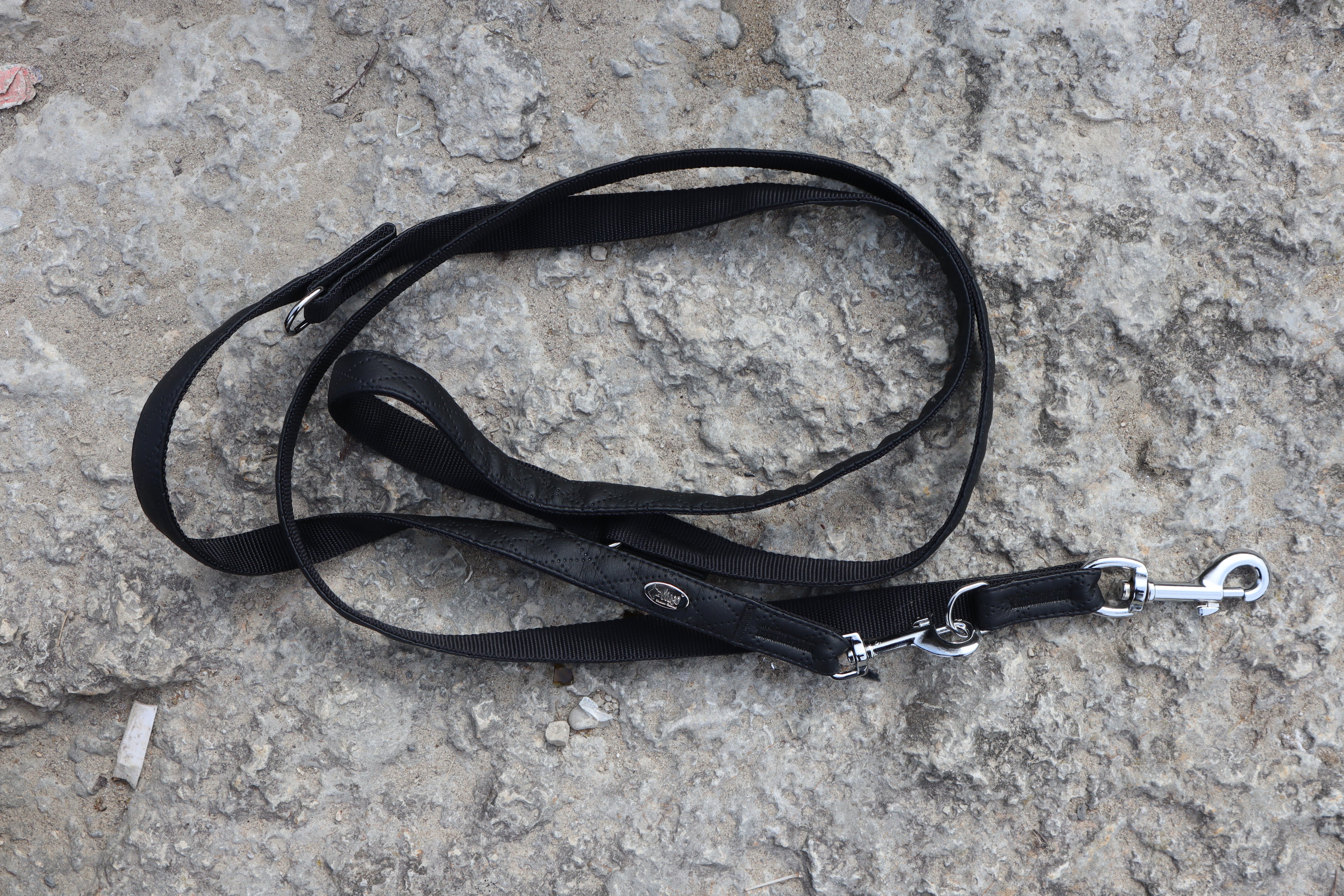 Dingo „Terra“ Multifunktions-Hundeleine – Stil & Funktionalität in Perfektion