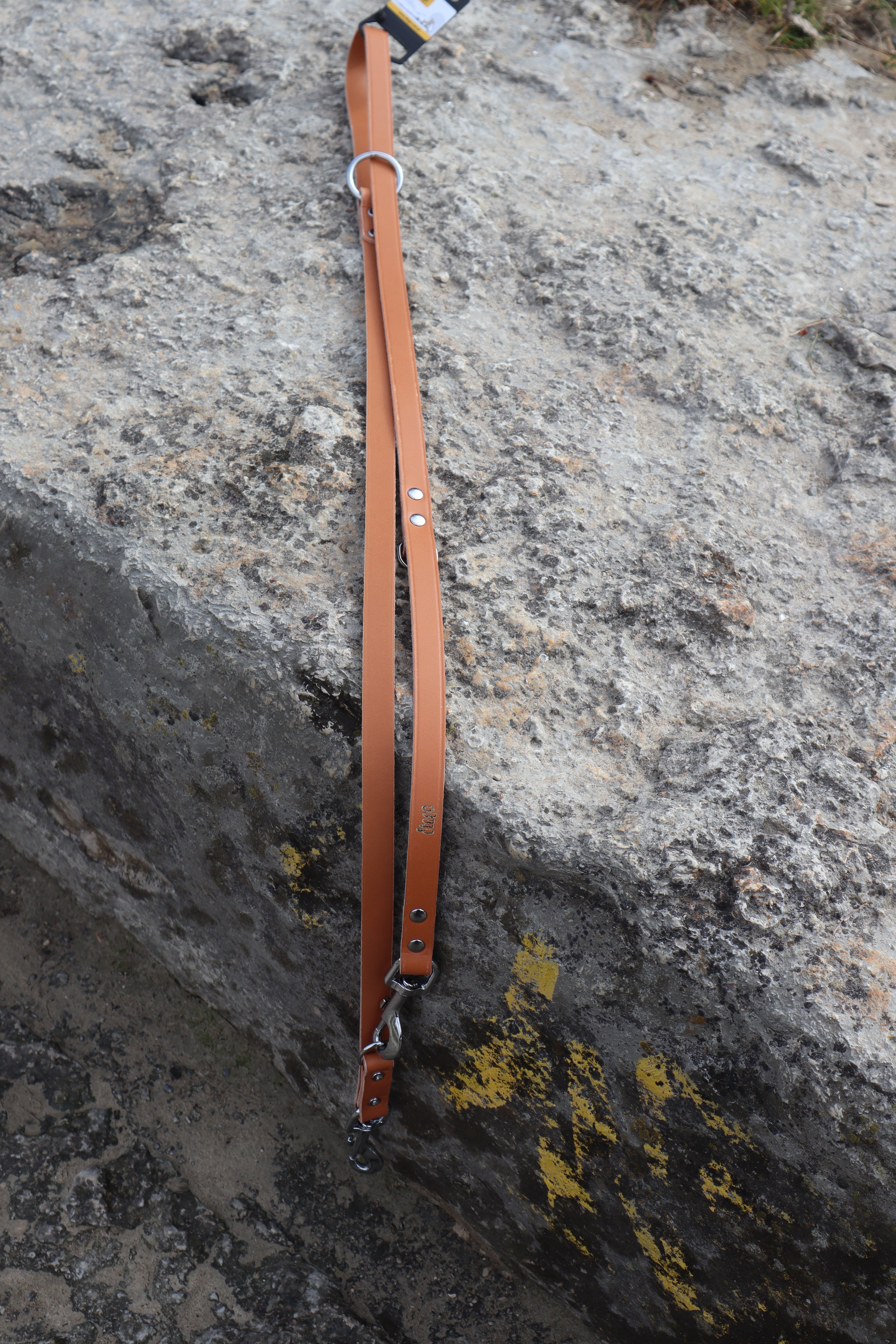 Klassische verstellbare Lederleine – Stil & Funktionalität