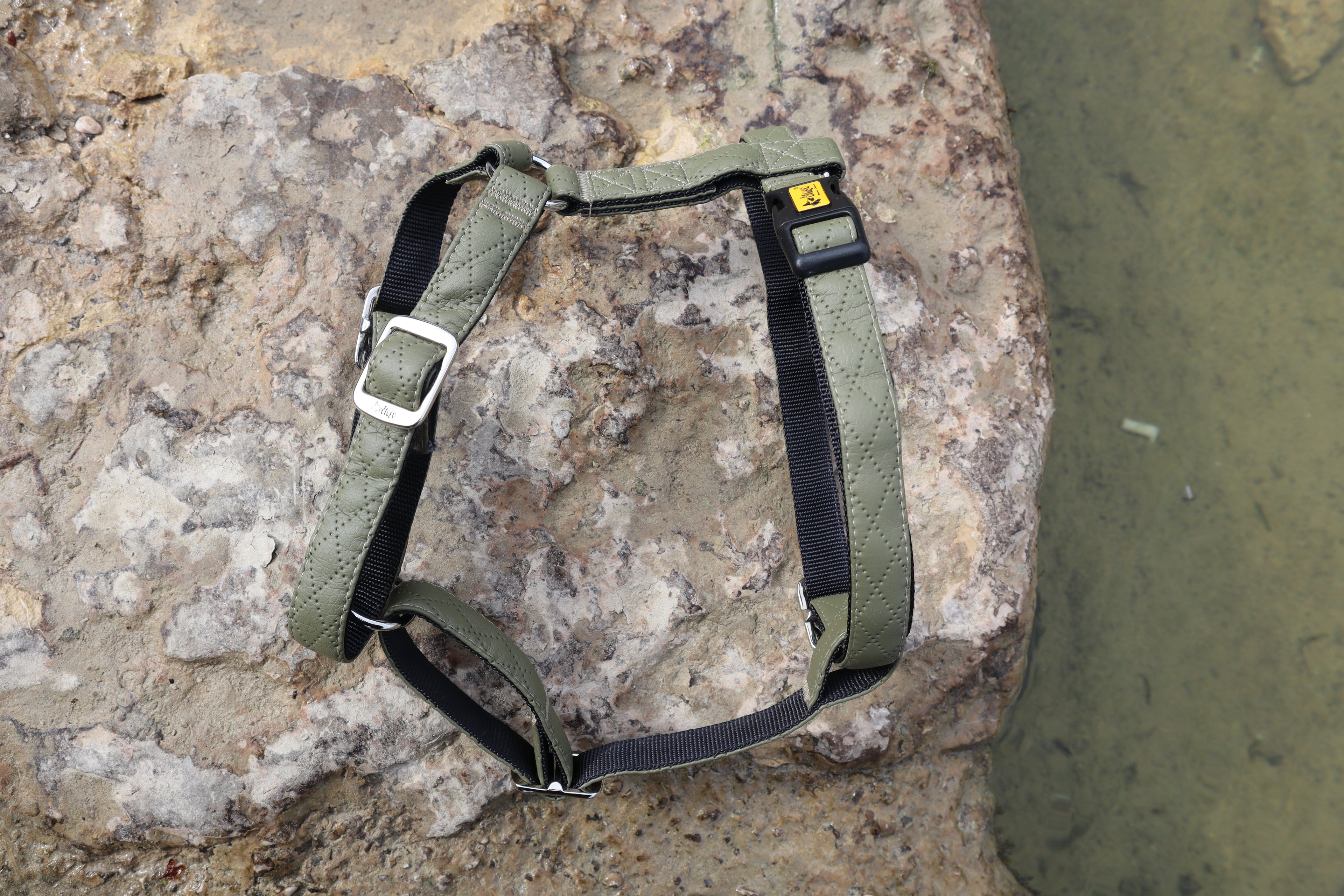 Terra" Premium H-Geschirr von Dingo – Wo Eleganz auf Ergonomie trifft