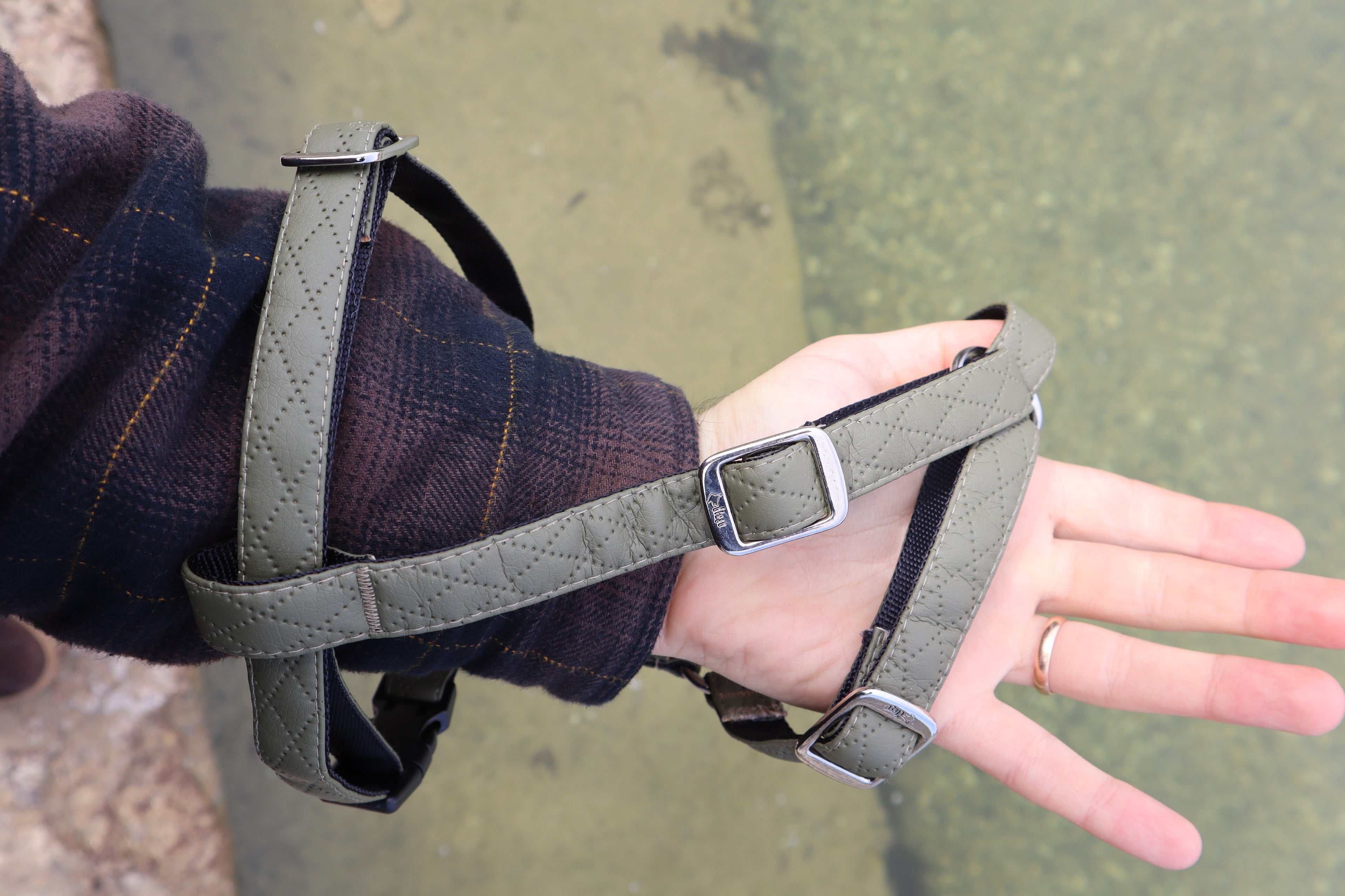 Terra" Premium H-Geschirr von Dingo – Wo Eleganz auf Ergonomie trifft