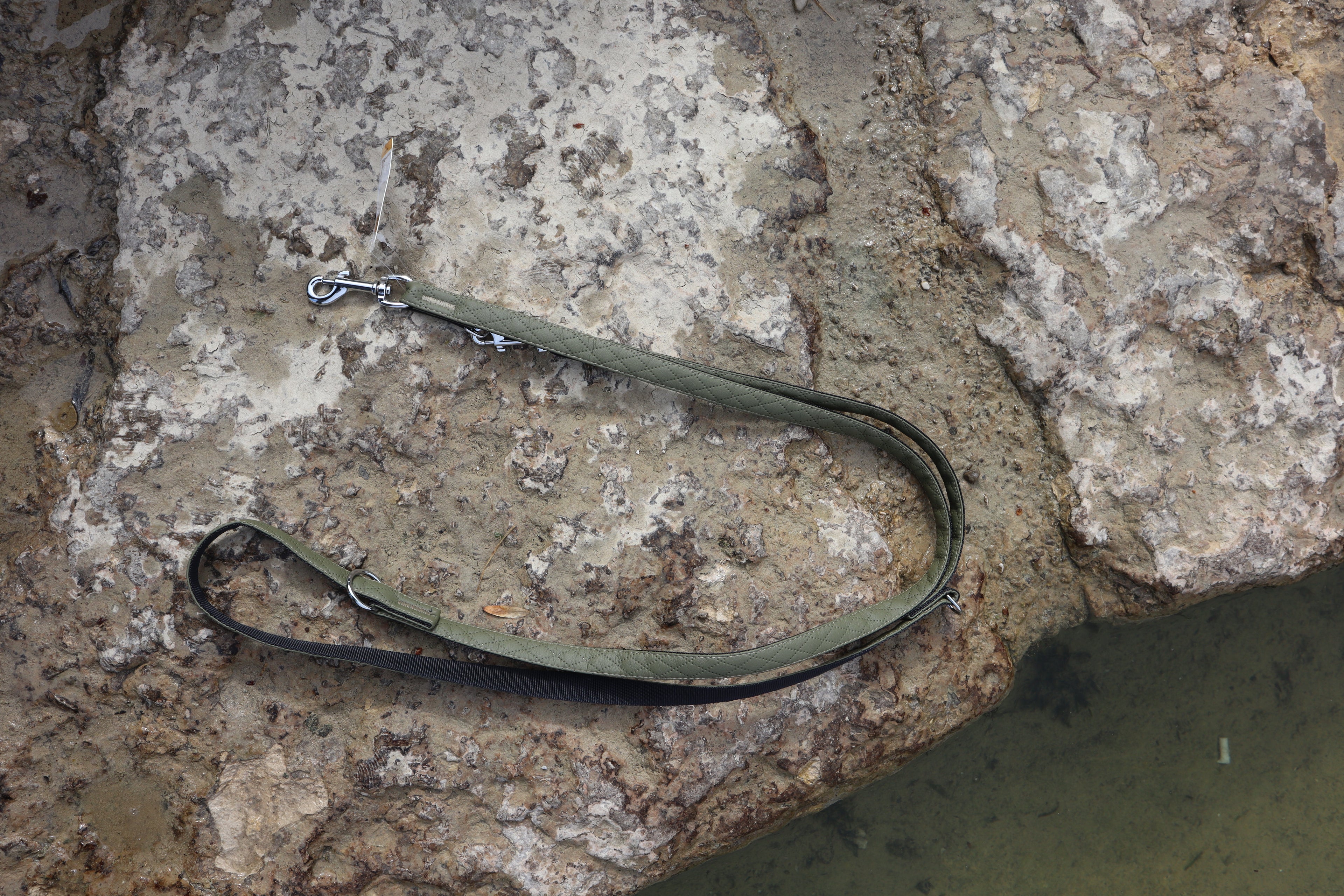 Dingo „Terra“ Multifunktionsleine – Stil &amp; Funktionalität in Perfektion