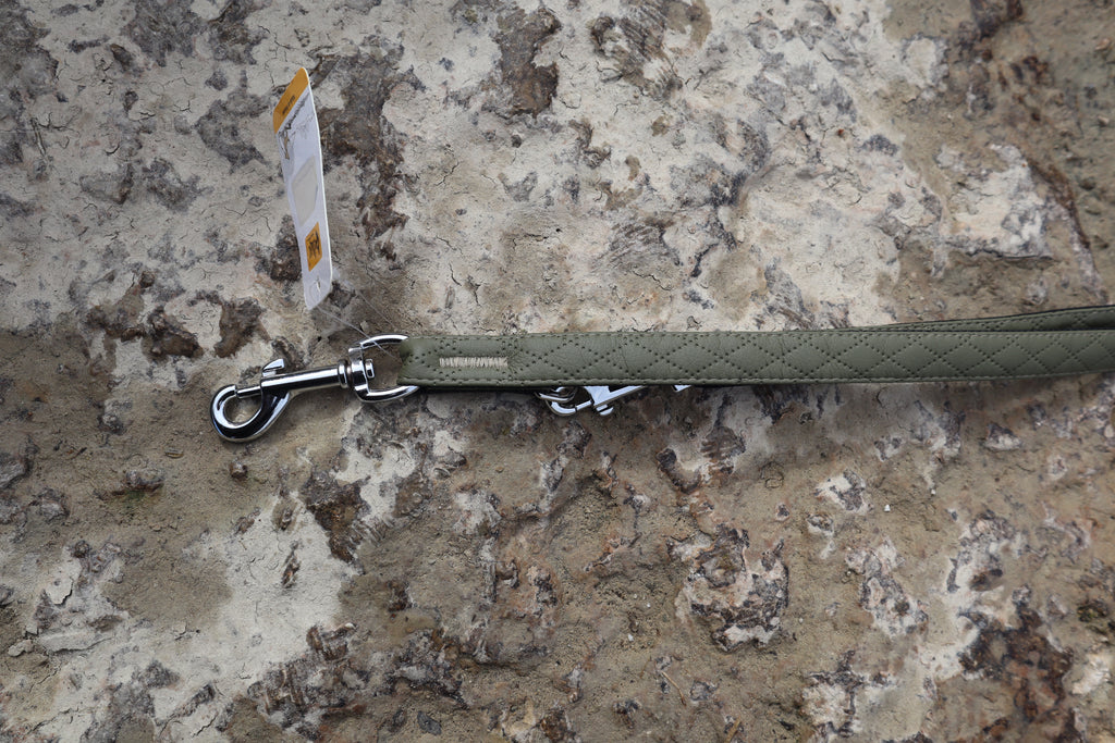 Dingo „Terra“ Multifunktionsleine – Stil &amp; Funktionalität in Perfektion