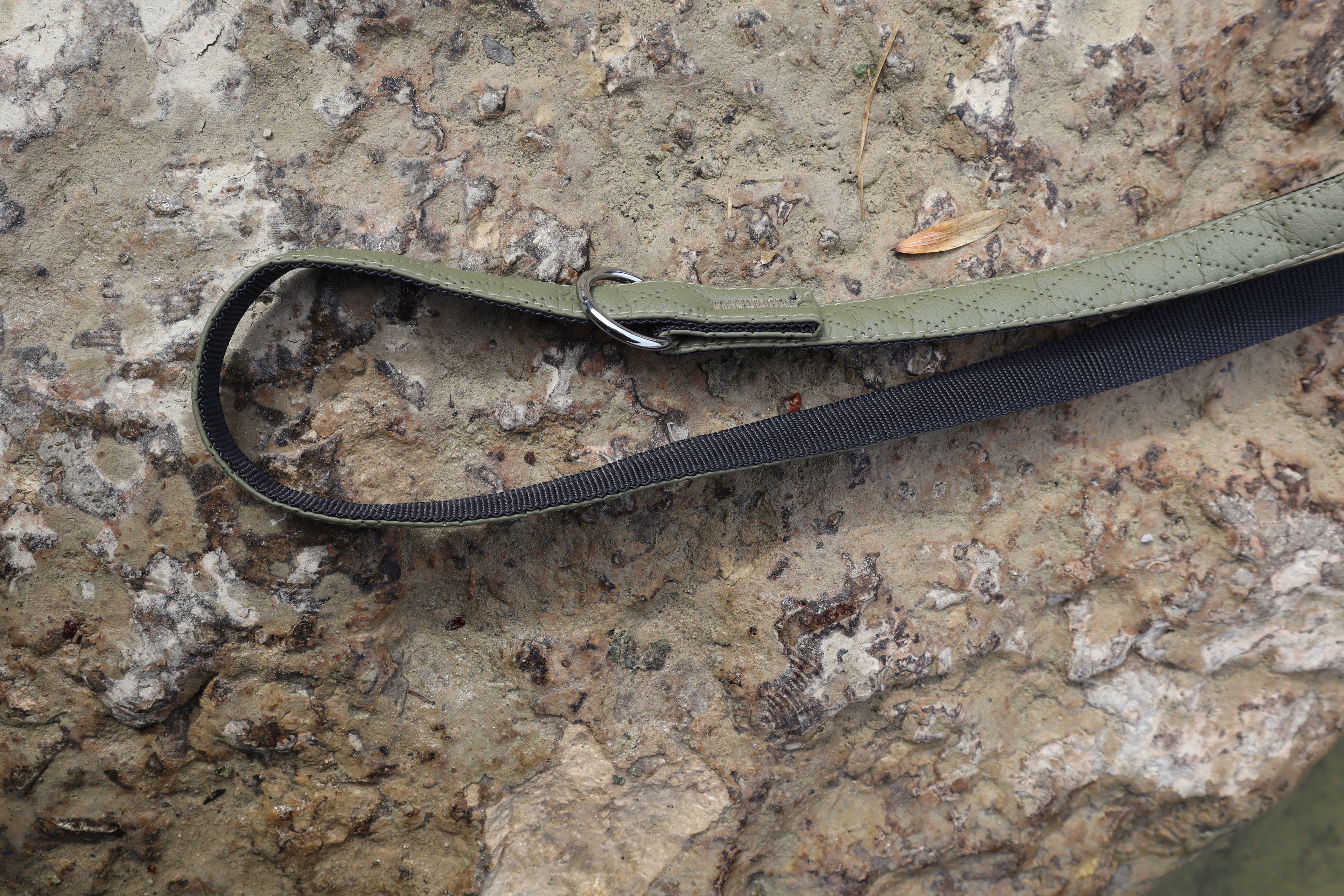 Dingo „Terra“ Multifunktionsleine – Stil &amp; Funktionalität in Perfektion