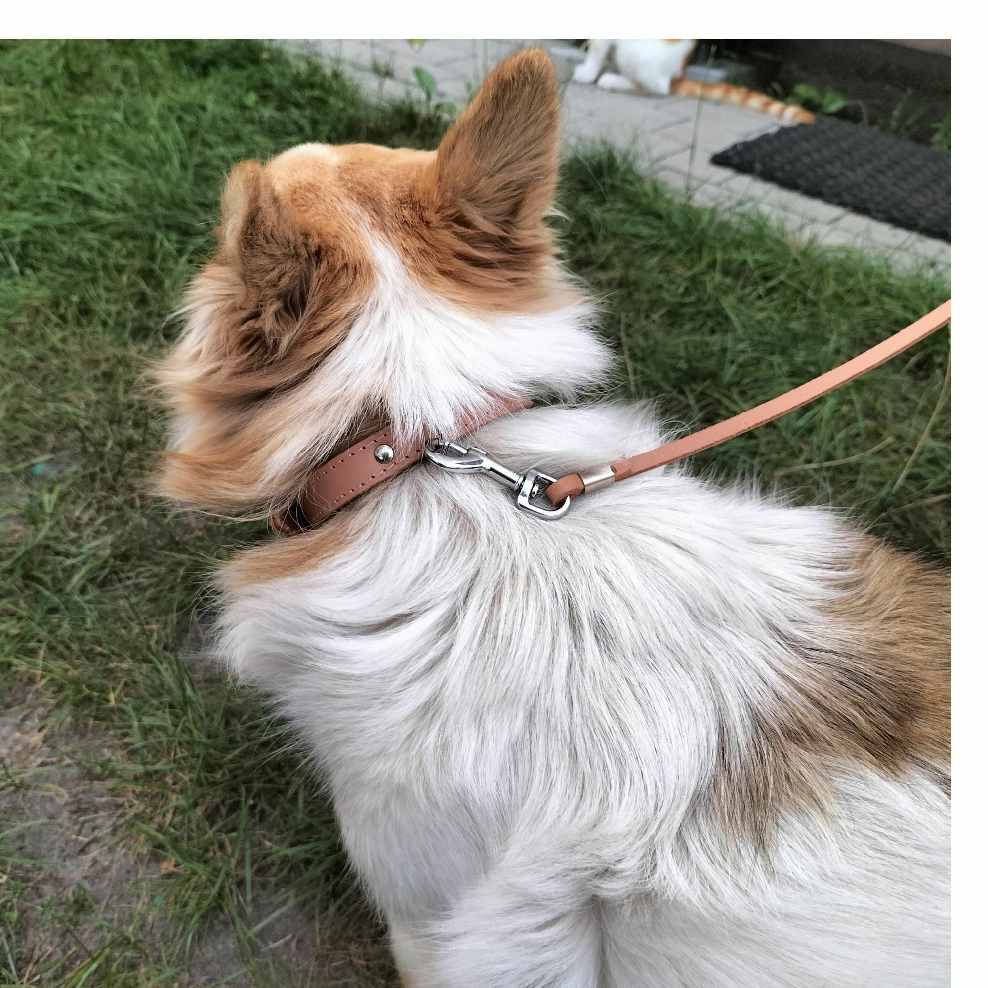 Klassische verstellbare Lederleine – Stil & Funktionalität