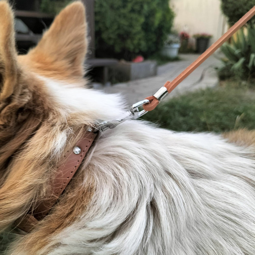 Klassische verstellbare Lederleine – Stil & Funktionalität