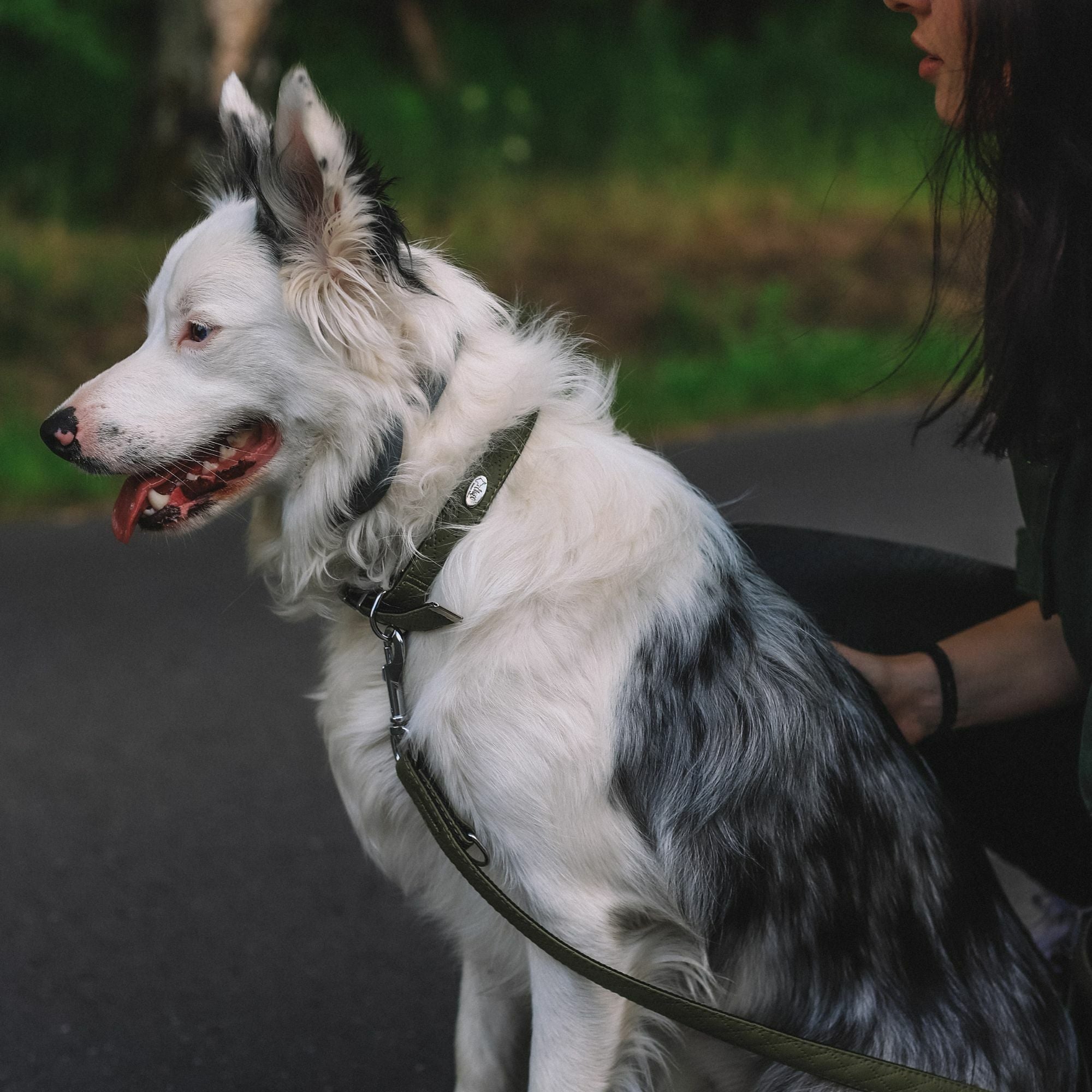 Terra: Hundehalsband aus veganem Leder & Polyamid – Robust & Elegant