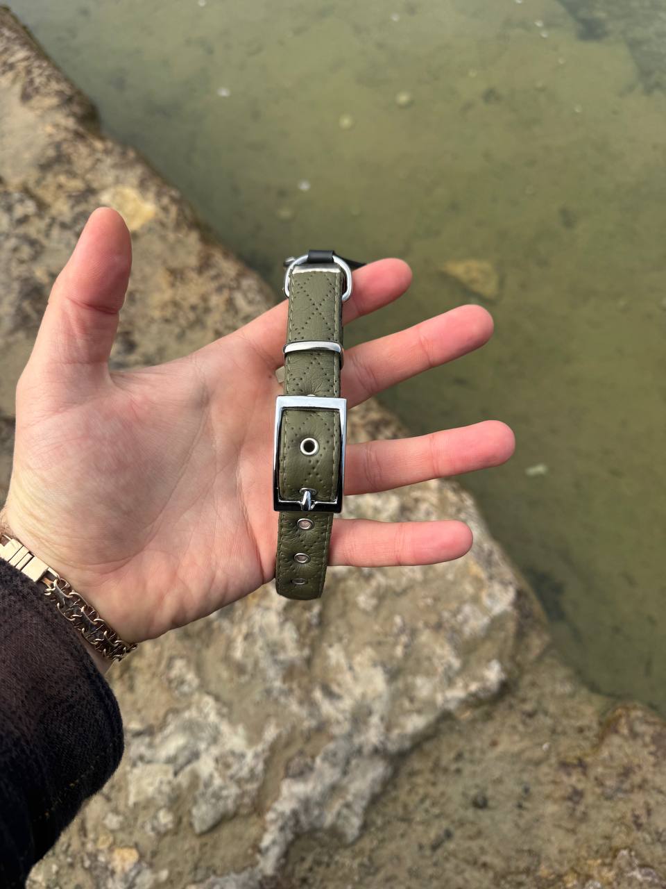 Terra: Hundehalsband aus veganem Leder & Polyamid – Robust & Elegant