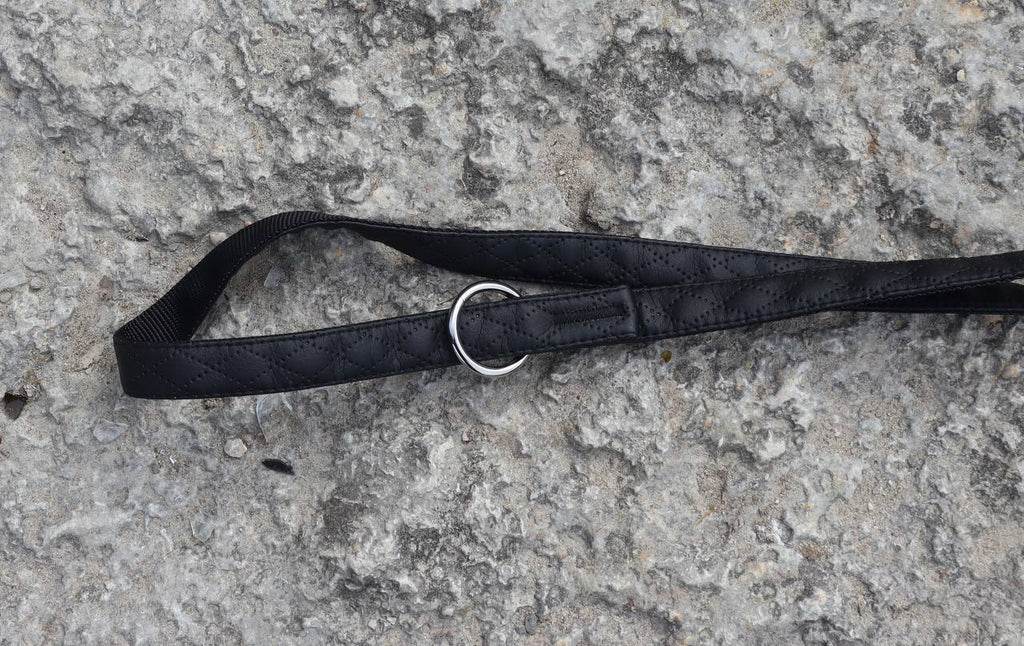 Dingo „Terra“ Multifunktions-Hundeleine – Stil & Funktionalität in Perfektion