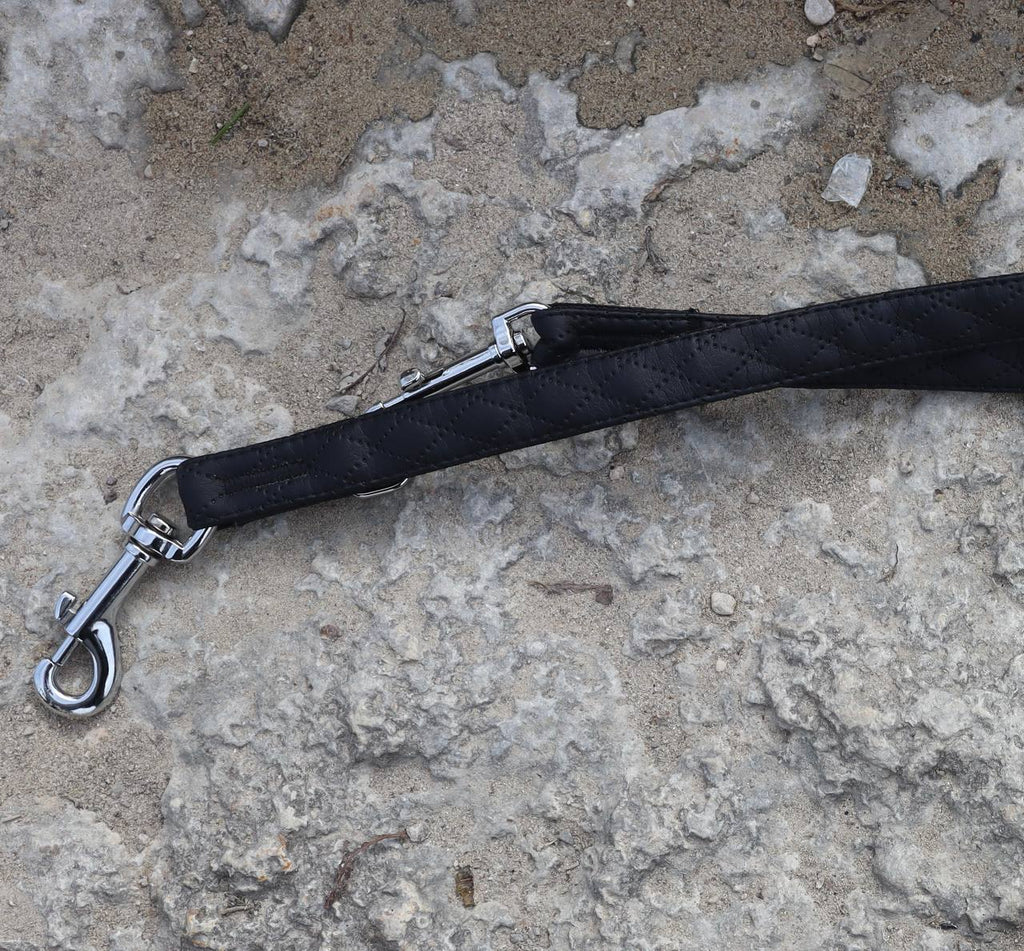 Dingo „Terra“ Multifunktions-Hundeleine – Stil & Funktionalität in Perfektion