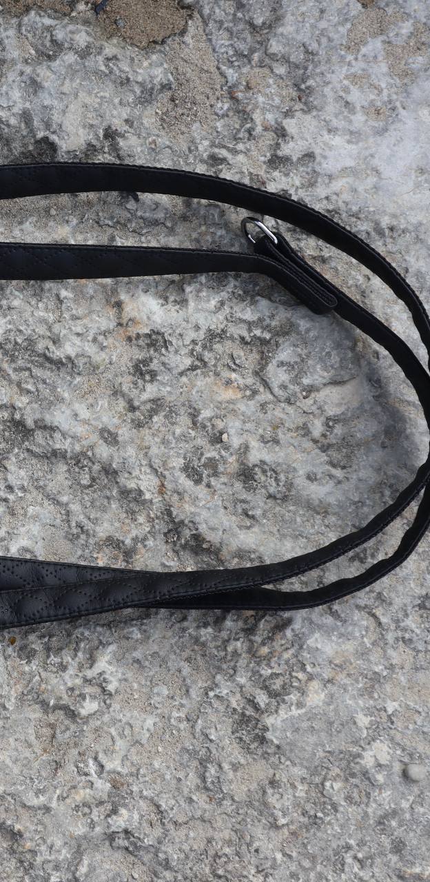 Dingo „Terra“ Multifunktions-Hundeleine – Stil & Funktionalität in Perfektion