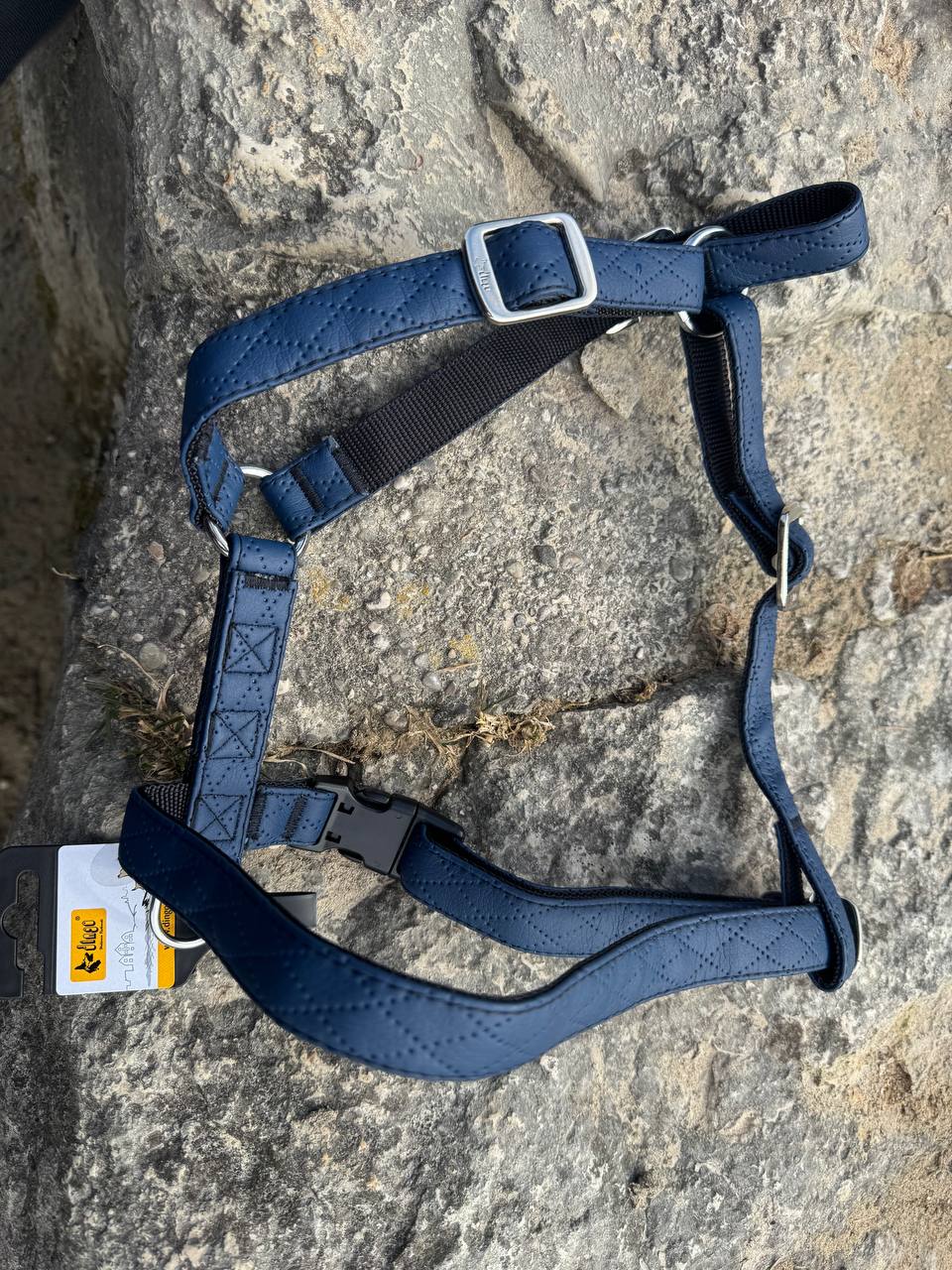 Terra" Premium H-Geschirr von Dingo – Wo Eleganz auf Ergonomie trifft