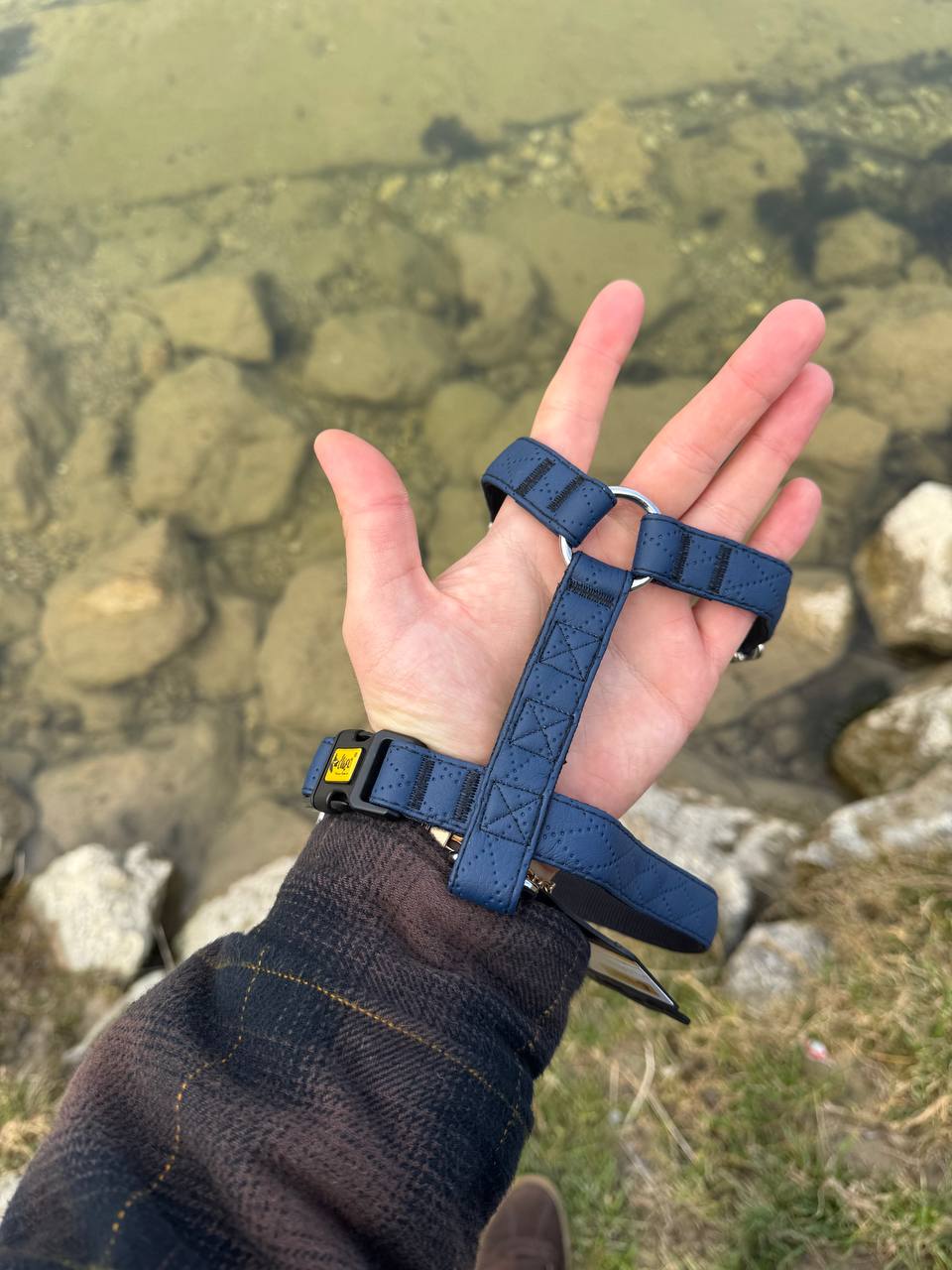 Terra" Premium H-Geschirr von Dingo – Wo Eleganz auf Ergonomie trifft