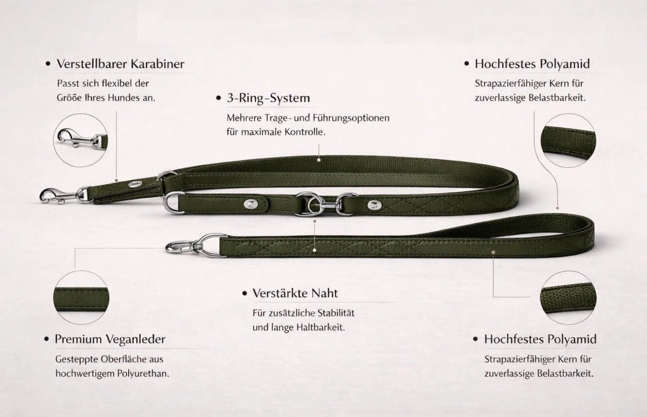 Dingo „Terra“ Multifunktionsleine – Stil &amp; Funktionalität in Perfektion