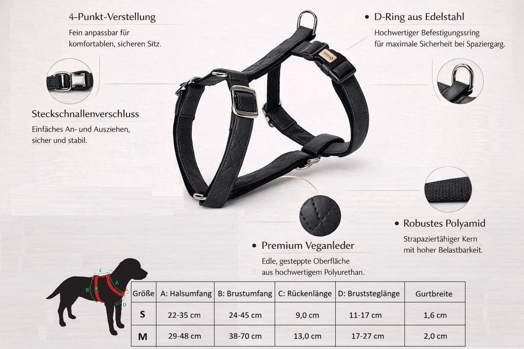 „Terra“ Premium H-Geschirr von Dingo – Wo Eleganz auf Ergonomie trifft