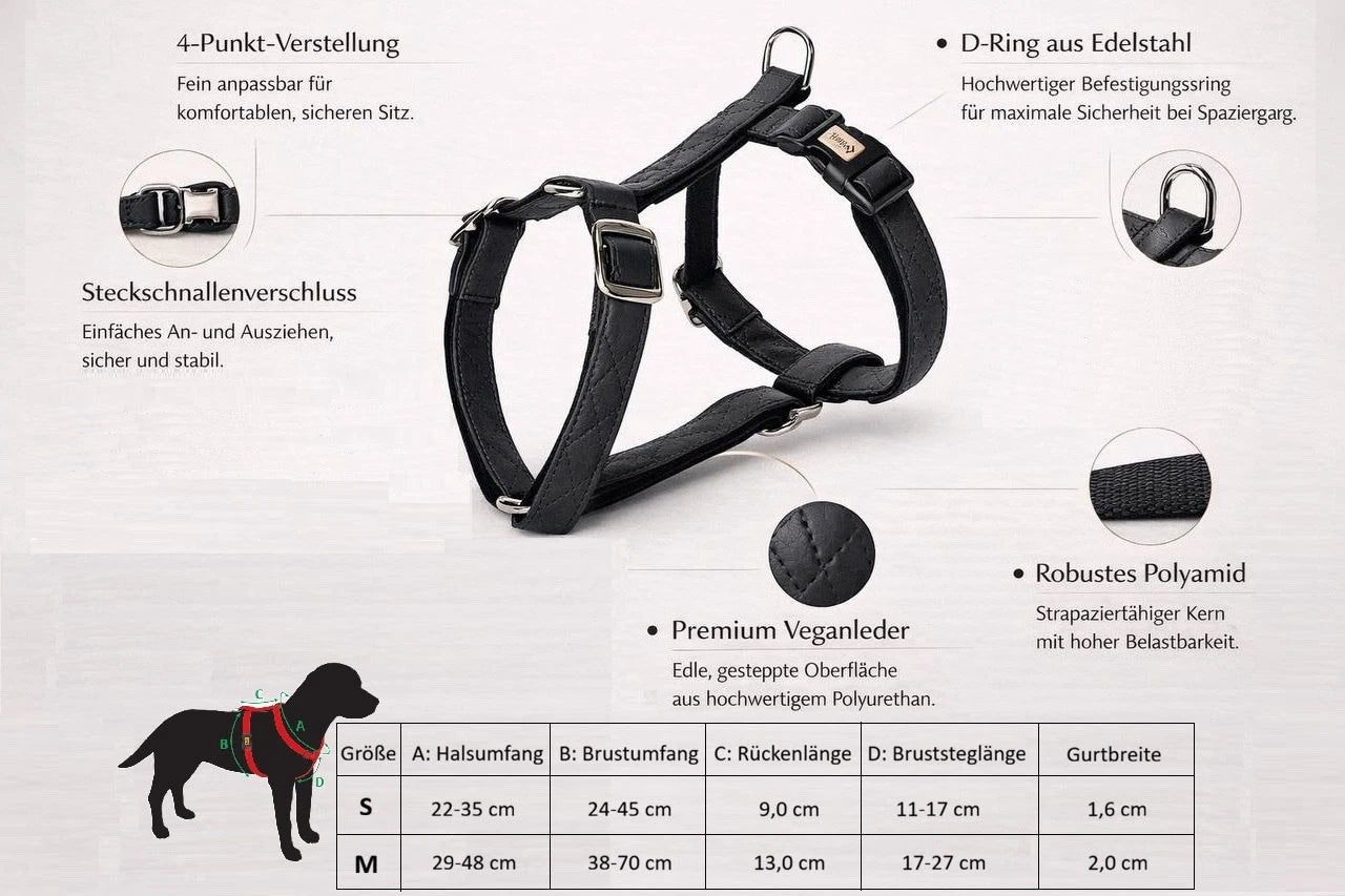 „Terra“ Premium H-Geschirr von Dingo – Wo Eleganz auf Ergonomie trifft