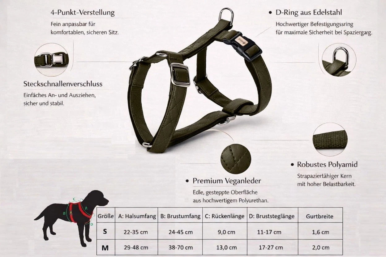 Terra" Premium H-Geschirr von Dingo – Wo Eleganz auf Ergonomie trifft