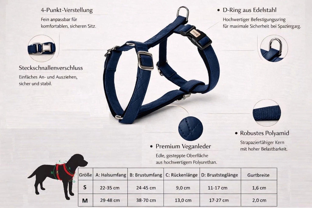 Terra" Premium H-Geschirr von Dingo – Wo Eleganz auf Ergonomie trifft