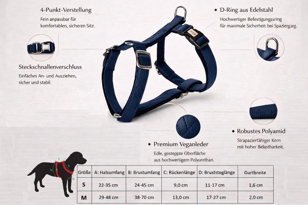 Terra" Premium H-Geschirr von Dingo – Wo Eleganz auf Ergonomie trifft