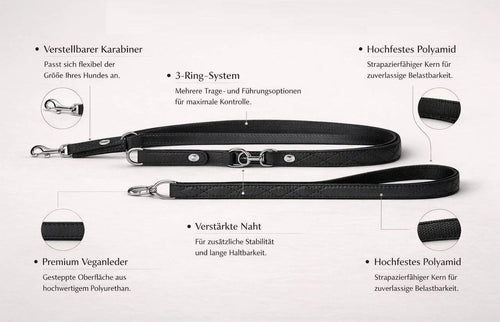 Dingo „Terra“ Multifunktions-Hundeleine – Stil & Funktionalität in Perfektion
