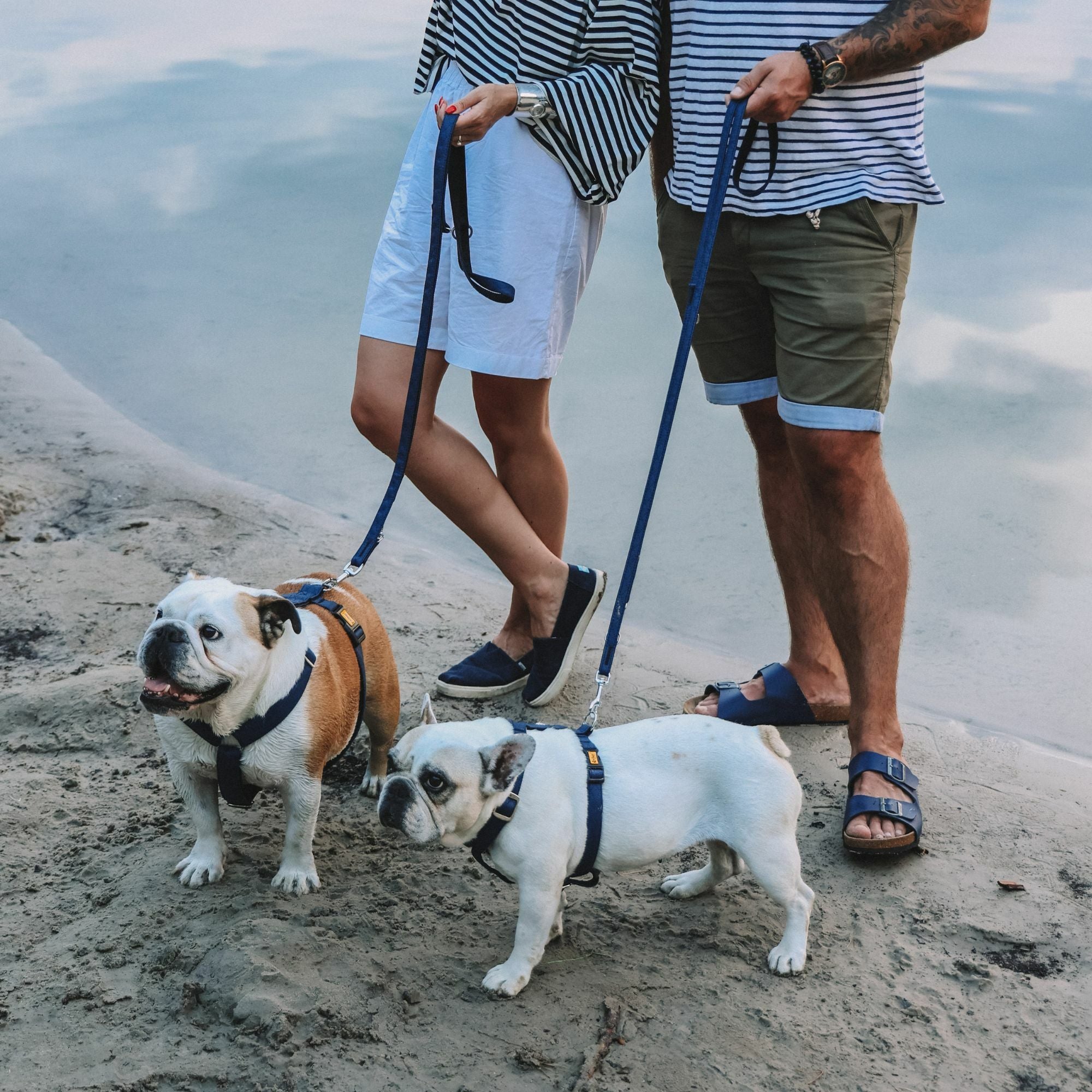 Terra" Premium H-Geschirr von Dingo – Wo Eleganz auf Ergonomie trifft